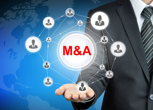 컨설팅 서비스 - 기업 인수합병 절차 지원